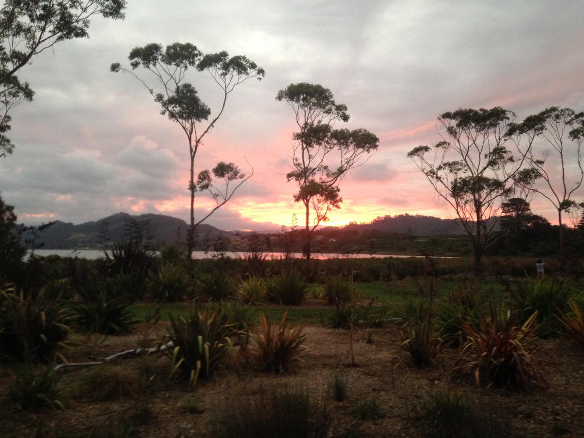 Athenree Hot Springs & Holiday Park Waihi Εξωτερικό φωτογραφία